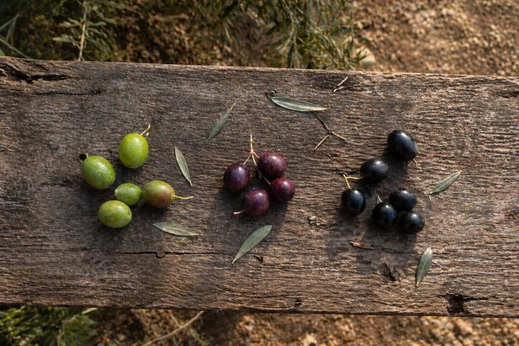 Ihr Olivenöl aus dem Supermarkt enthält fast nichts von dem, was Olivenöl gesund macht Ihr Olivenöl aus dem Supermarkt enthält fast nichts von dem, was Olivenöl gesund macht